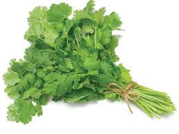 Coriander Leaves